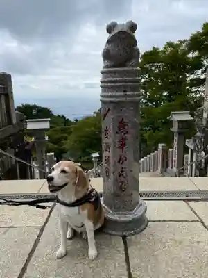 大山阿夫利神社(神奈川県)
