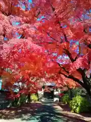 正樂寺(宮城県)