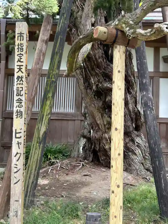 鶴岡八幡宮の自然