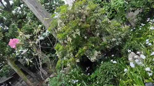 大将軍八神社(京都府)