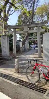 自由が丘熊野神社の鳥居