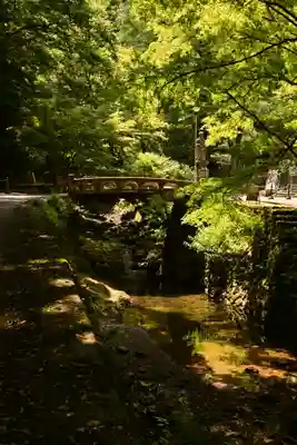 鰐淵寺(島根県)