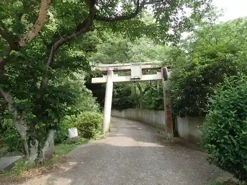 天照大神高座神社の鳥居