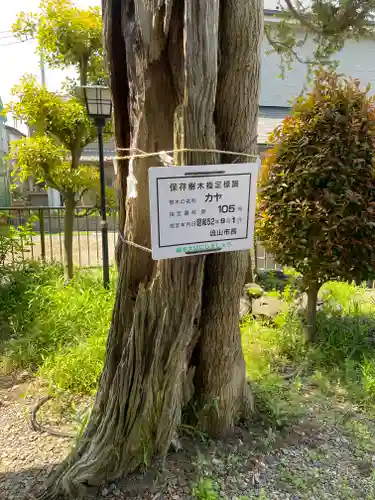 浅間神社(千葉県)