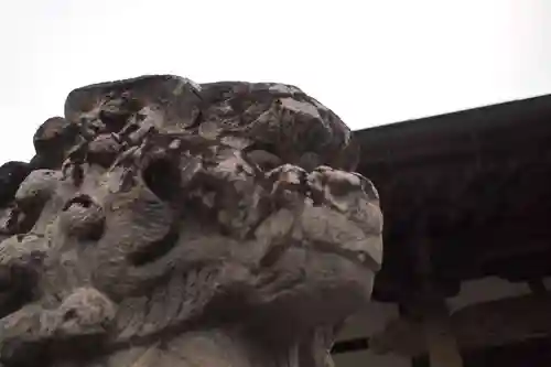 熊野神社の狛犬