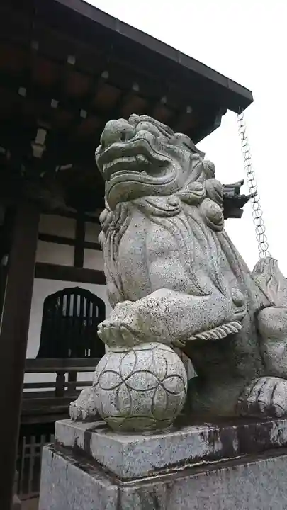 大経寺の狛犬