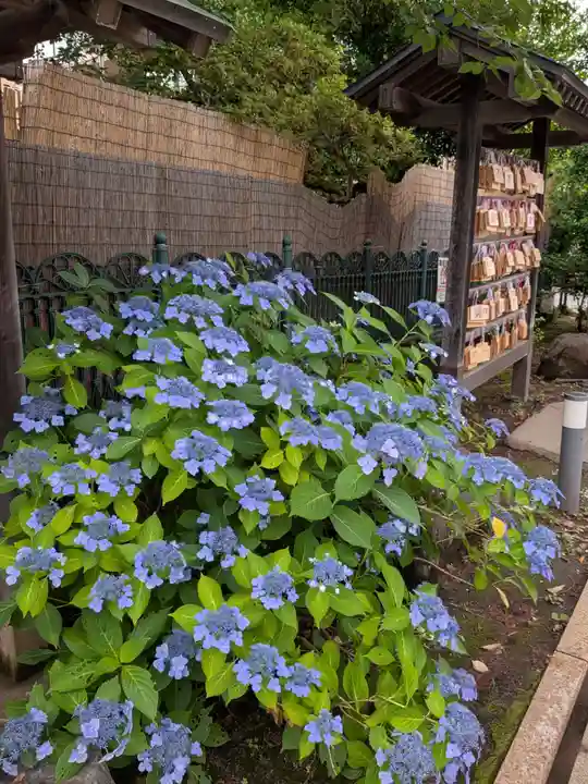 桜神宮(東京都)