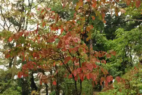 阿久津「田村神社」（郡山市阿久津町）旧社名：伊豆箱根三嶋三社の庭園