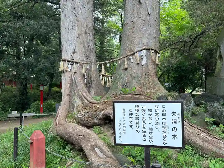 妻沼聖天山歓喜院の自然