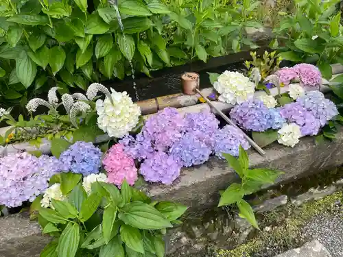 二尊院(京都府)