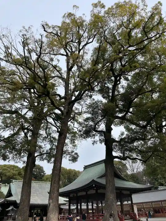 武蔵一宮氷川神社(埼玉県)