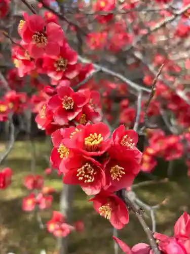 冠稲荷神社の{uncategorized: "未分類", other: "その他", undefined: "問題あり", building: "その他建物", grave: "お墓", sacred_gate: "鳥居", guardian: "狛犬", statue: "像", buddha: "仏像", history: "歴史", nature: "自然", garden: "庭園", animal: "動物", pagoda: "塔", temizu: "手水舎", mountain_gate: "山門・神門", sanctuary: "本殿・本堂", subordinate: "末社・摂社", art: "芸術", scenery: "景色", jizo: "地蔵", ema: "絵馬", goshuin: "御朱印", omikuji: "おみくじ", items: "授与品その他", amulet: "お守り", goshuincho: "御朱印帳", eats: "食事", festival: "お祭り", votive_dance: "神楽", shichigosan: "七五三参", wedding: "結婚式", experience: "体験その他", initially: "初詣", around: "周辺", anti_infection: "感染症対策"}