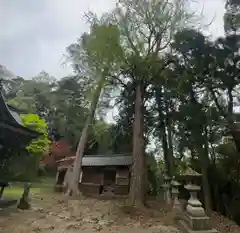 井田神社(兵庫県)