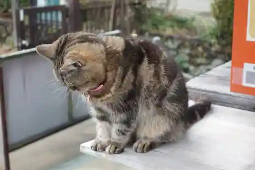 白峯寺(香川県)