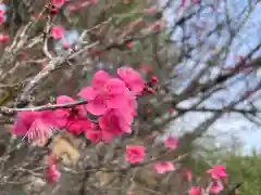 大生郷天満宮(茨城県)