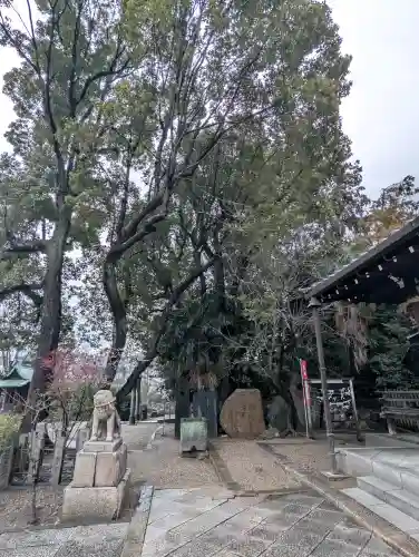 安居神社の{uncategorized: "未分類", other: "その他", undefined: "問題あり", building: "その他建物", grave: "お墓", sacred_gate: "鳥居", guardian: "狛犬", statue: "像", buddha: "仏像", history: "歴史", nature: "自然", garden: "庭園", animal: "動物", pagoda: "塔", temizu: "手水舎", mountain_gate: "山門・神門", sanctuary: "本殿・本堂", subordinate: "末社・摂社", art: "芸術", scenery: "景色", jizo: "地蔵", ema: "絵馬", goshuin: "御朱印", omikuji: "おみくじ", items: "授与品その他", amulet: "お守り", goshuincho: "御朱印帳", eats: "食事", festival: "お祭り", votive_dance: "神楽", shichigosan: "七五三参", wedding: "結婚式", experience: "体験その他", initially: "初詣", around: "周辺", anti_infection: "感染症対策"}