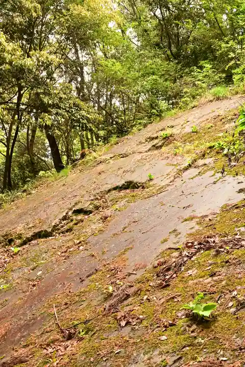 武蔵二宮 金鑚神社(埼玉県)