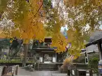 浄智寺(神奈川県)