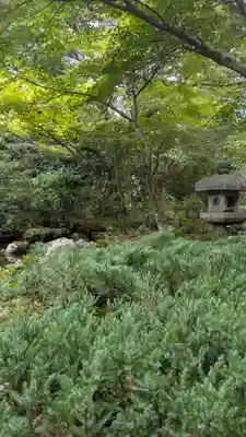 桂徳院(京都府)