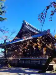 寛永寺(根本中堂)(東京都)