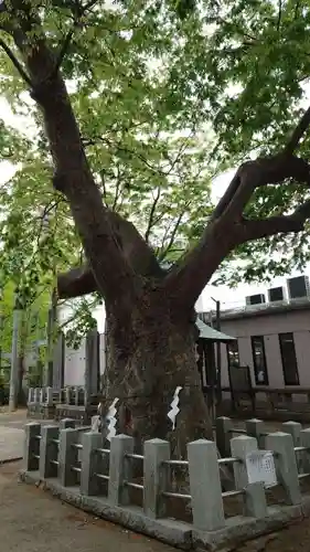 阿邪訶根神社の庭園