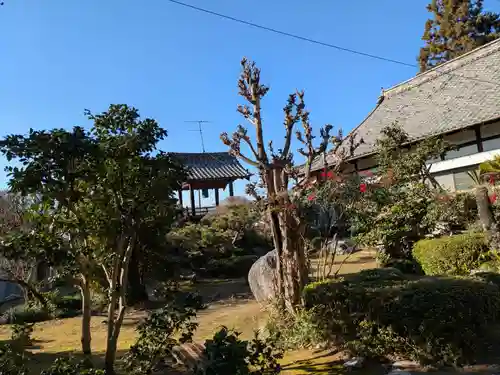 心洞寺(岐阜県)