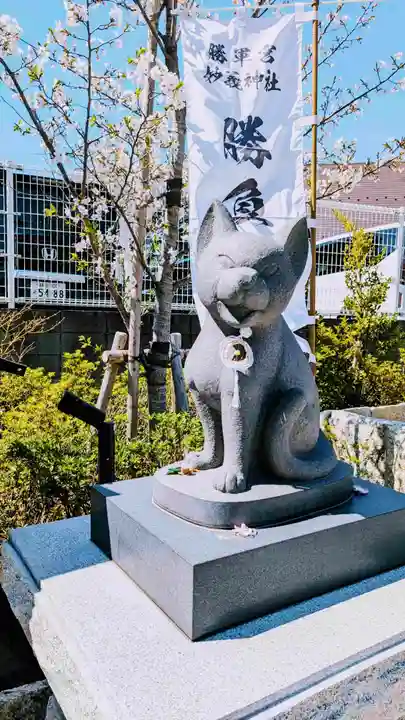 駒込妙義神社の狛犬