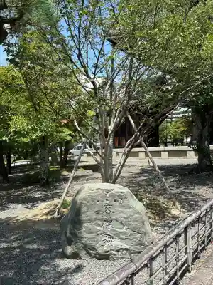 くろ谷 金戒光明寺(京都府)