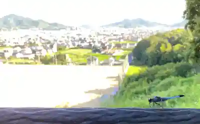 國分八幡宮(香川県)