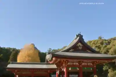 鶴岡八幡宮(神奈川県)