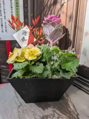 高円寺天祖神社(東京都)