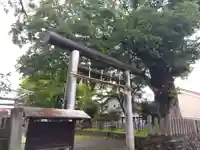 神明神社(福井県)