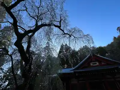 清水寺(長野県)