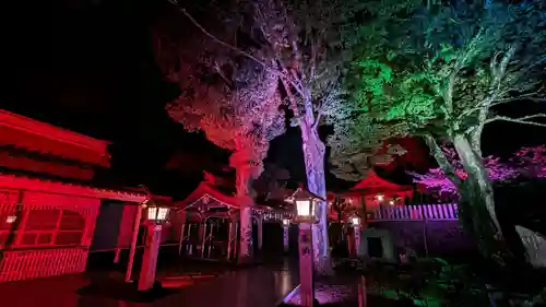 金蛇水神社(宮城県)