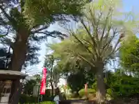 舊城寺(旧城寺)の自然