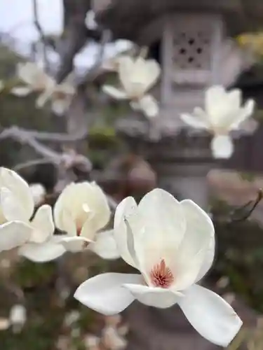 無量寿院(兵庫県)