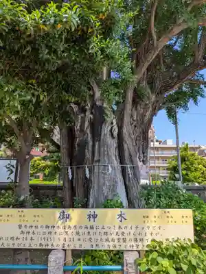 磐井神社(東京都)