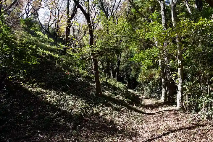 四津山神社(埼玉県)