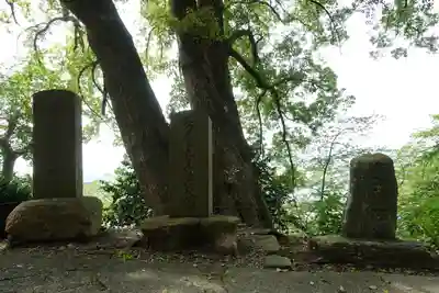 金剛宝寺（紀三井寺）(和歌山県)
