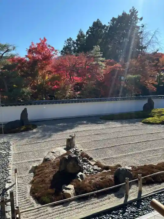宝徳寺の{uncategorized: "未分類", other: "その他", undefined: "問題あり", building: "その他建物", grave: "お墓", sacred_gate: "鳥居", guardian: "狛犬", statue: "像", buddha: "仏像", history: "歴史", nature: "自然", garden: "庭園", animal: "動物", pagoda: "塔", temizu: "手水舎", mountain_gate: "山門・神門", sanctuary: "本殿・本堂", subordinate: "末社・摂社", art: "芸術", scenery: "景色", jizo: "地蔵", ema: "絵馬", goshuin: "御朱印", omikuji: "おみくじ", items: "授与品その他", amulet: "お守り", goshuincho: "御朱印帳", eats: "食事", festival: "お祭り", votive_dance: "神楽", shichigosan: "七五三参", wedding: "結婚式", experience: "体験その他", initially: "初詣", around: "周辺", anti_infection: "感染症対策"}