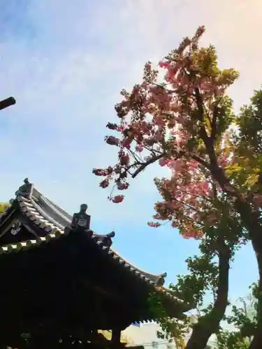 圓照寺(東京都)