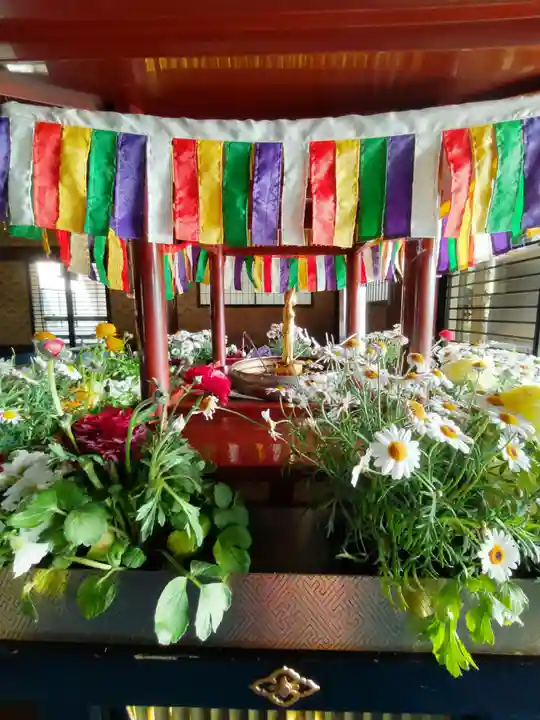宝勝山 南藏院 蓮光寺のお祭り