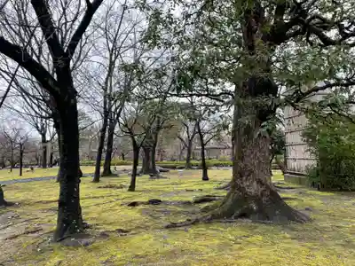 東寺（教王護国寺）(京都府)