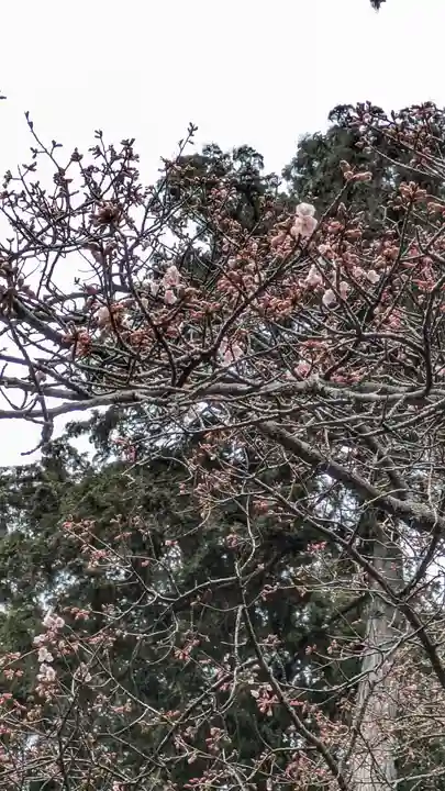 石山寺(滋賀県)