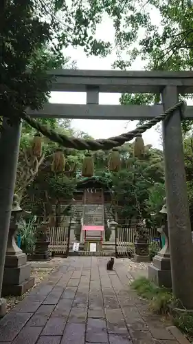 児玉神社の鳥居