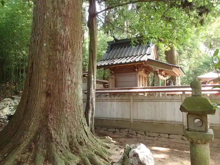 劔主神社の自然