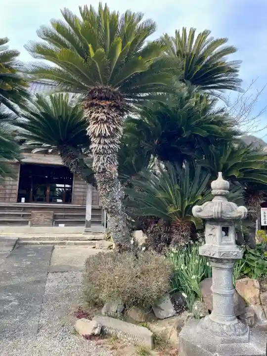宝福寺の{uncategorized: "未分類", other: "その他", undefined: "問題あり", building: "その他建物", grave: "お墓", sacred_gate: "鳥居", guardian: "狛犬", statue: "像", buddha: "仏像", history: "歴史", nature: "自然", garden: "庭園", animal: "動物", pagoda: "塔", temizu: "手水舎", mountain_gate: "山門・神門", sanctuary: "本殿・本堂", subordinate: "末社・摂社", art: "芸術", scenery: "景色", jizo: "地蔵", ema: "絵馬", goshuin: "御朱印", omikuji: "おみくじ", items: "授与品その他", amulet: "お守り", goshuincho: "御朱印帳", eats: "食事", festival: "お祭り", votive_dance: "神楽", shichigosan: "七五三参", wedding: "結婚式", experience: "体験その他", initially: "初詣", around: "周辺", anti_infection: "感染症対策"}