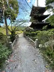 園城寺（三井寺）(滋賀県)