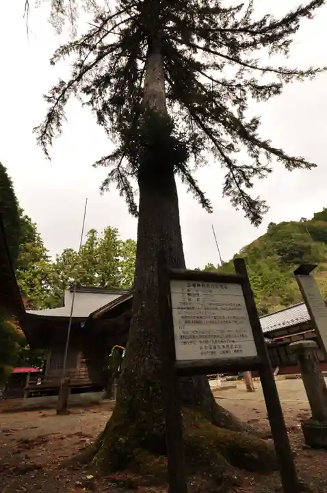 三嶋神社(高知県)
