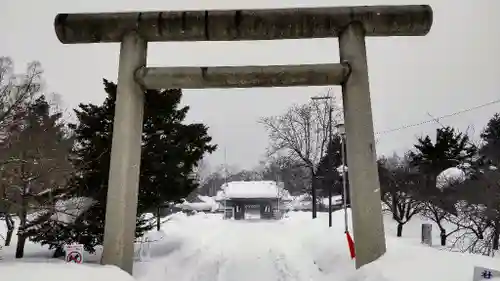 札幌護國神社の鳥居